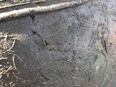 -老味道1992(武当山店)