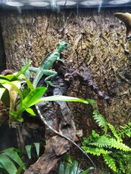 -酷嗒动物文化乐园(cutezoo西溪乐天城店)