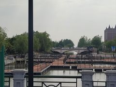 -荷兰花海