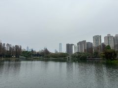 -四海公园(南山区)