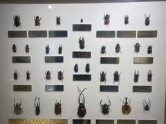-上海昆虫博物馆