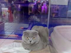 -FAELING PETS美天灵宠物(富力广场店)