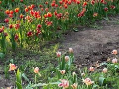 -长春公园(普阳街道)