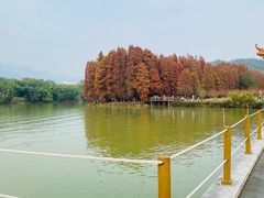 -星湖旅游景区七星岩