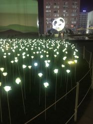 -成都苗方清颜专业祛痘