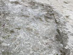 -羚羊峡古栈道森林公园