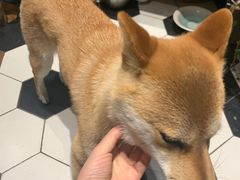 -About Bistro關於·泰式家庭料理