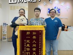 -康成宠物医院24H·CT·核磁共振