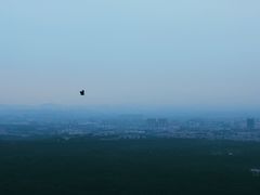 -紫金山天文台