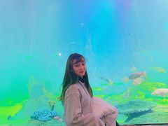 -沈阳海洋探索中心