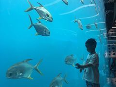-瑞德姆美人鱼海底演艺主题餐厅(亚龙湾店)