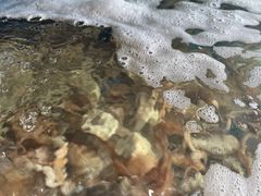 -蓝珊甄选海鲜自助·火锅大排档(近阿那亚店)