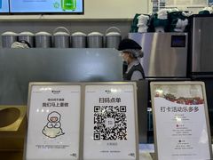-雾与山茶(大禹城店)
