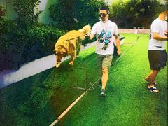 -汪说喵讲宠物乐园宠物酒店(红星美凯龙店)