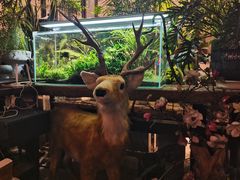 -大书房咖啡(中传国交店)