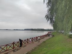 -丁香湖公园