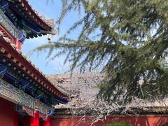 -西安市广仁寺