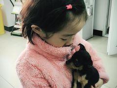 -康乐宝动物医院