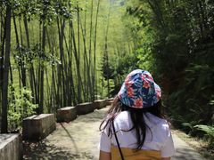 -白云源风景区