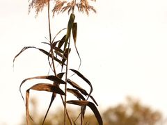 -西湖风景区-江洋畈生态公园