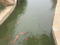 -北京国家会计学院