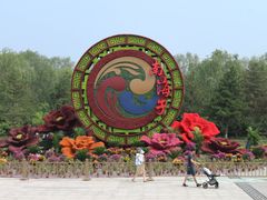 -南海子公园