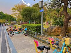 -广东花都湖国家湿地公园