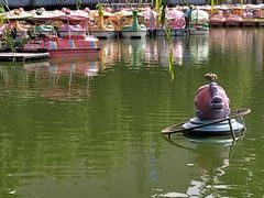 -团结湖公园