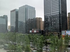 -合景·悠方(成都店)