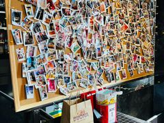 -百好乐宠物友好餐厅(朝外大街店)