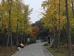 -石家庄市植物园