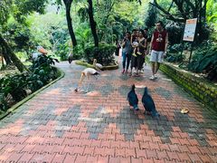 -吉隆坡雀鸟公园