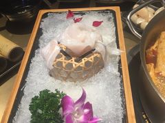 -手选潮汕鲜活牛肉火锅(二七广场店)