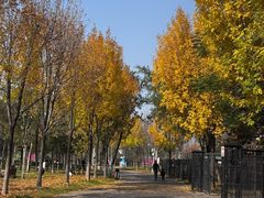 -商丘市人民公园