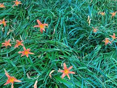 -杭州城北体育公园