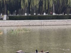 -中国农业博物馆