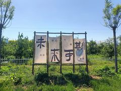 -亲兄弟真人CS团建拓展基地