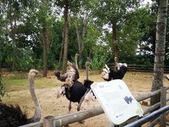 -大连森林动物园