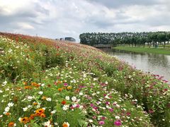 -迪茵湖田家舍生态农场
