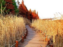 -苏州东太湖生态园