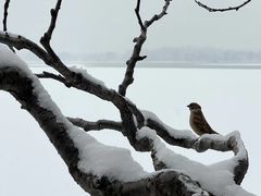 -颐和园