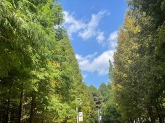 -贵阳市花溪国家城市湿地公园