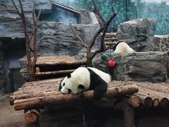 -鄂尔多斯野生动物园