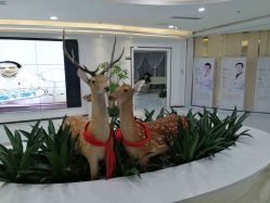 -润泽瑞尼丝医疗美容医院