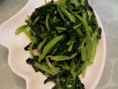 清炒鸡毛菜-博雅渔港·融合菜(维也纳国际大酒店)