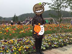 -绵阳盛世樱花悠乐谷