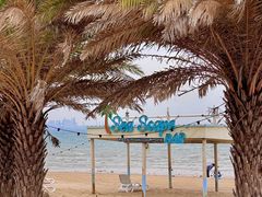 -巨鹏飞梦幻海岸