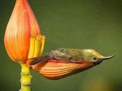 -龙湾潭国家森林公园