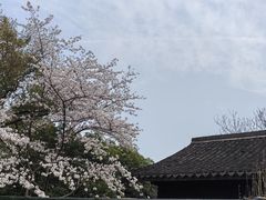-茅家埠