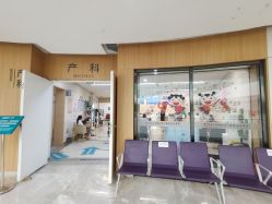-天使医生VIP孕期孕检产检(市二医院店)